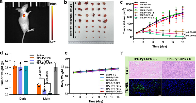 Fig. 10