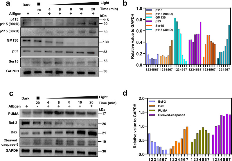 Fig. 7