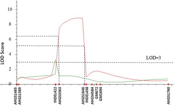 Fig. 6