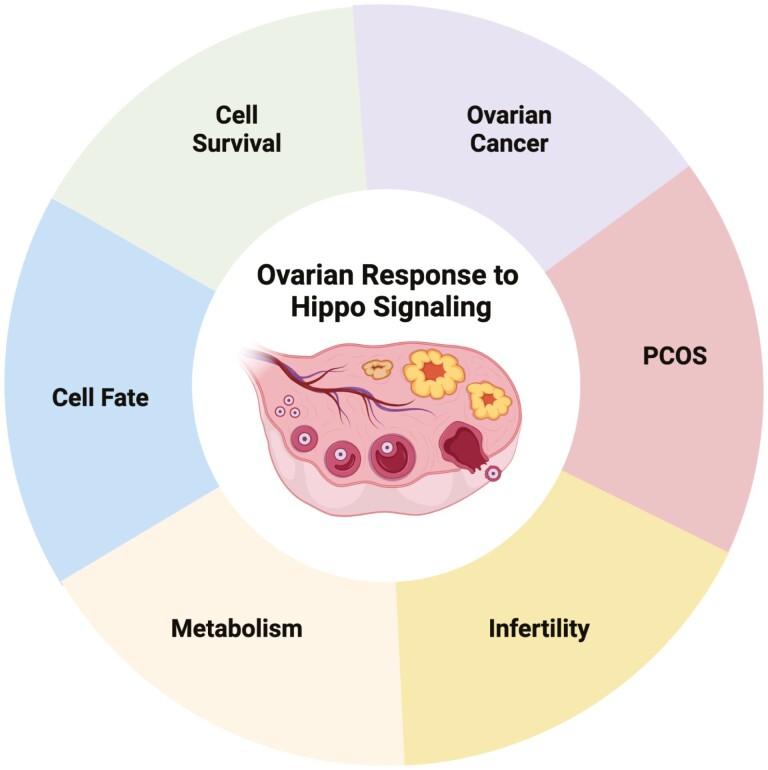 Graphical Abstract