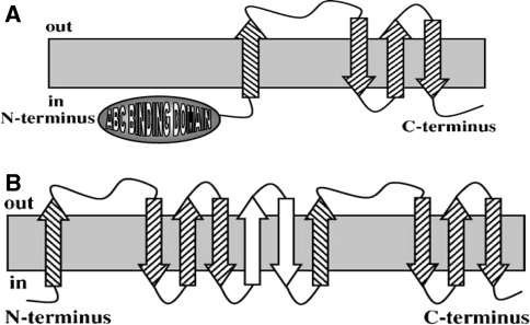 Fig. 4