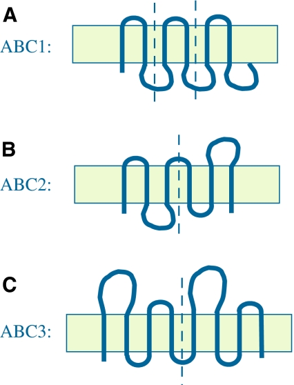 Fig. 1