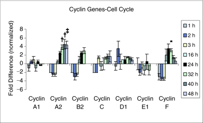 FIG. 3.