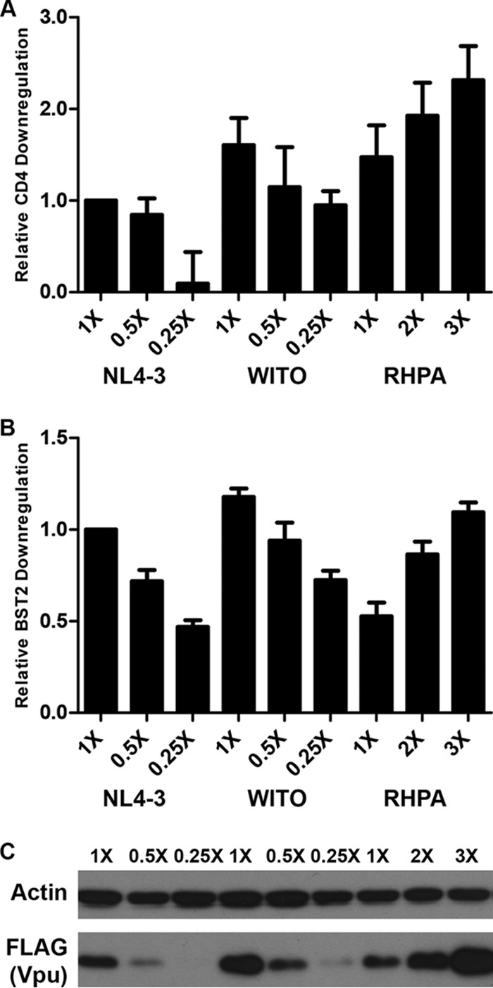 FIG 4