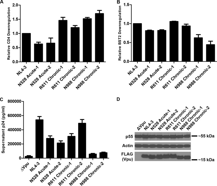 FIG 6