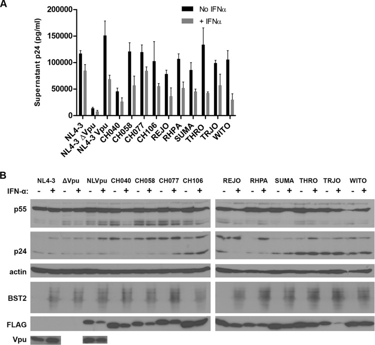 FIG 3