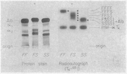 graphic file with name pnas00109-0208-a.jpg