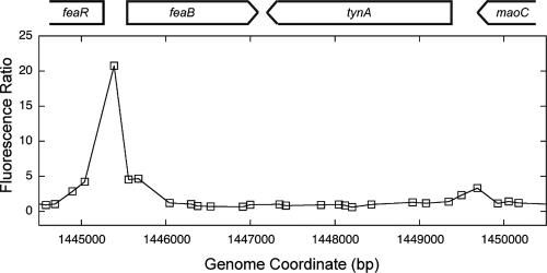 FIG. 2.