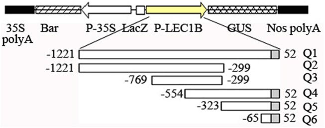 Fig 5