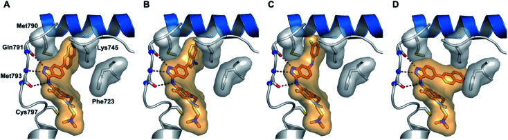 Fig. 13