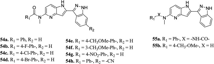 Fig. 22