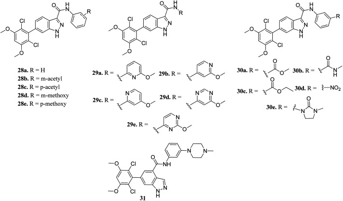 Fig. 10