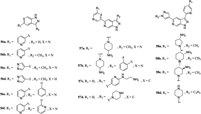 Fig. 24