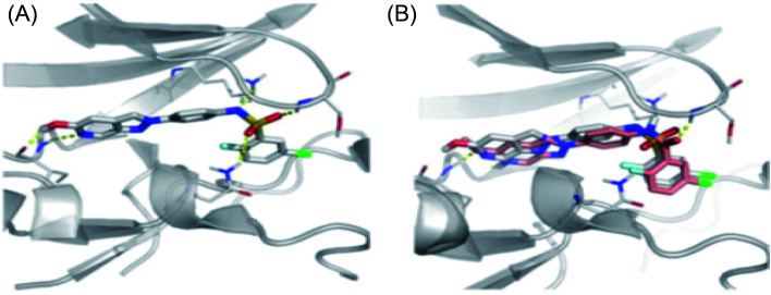 Fig. 49