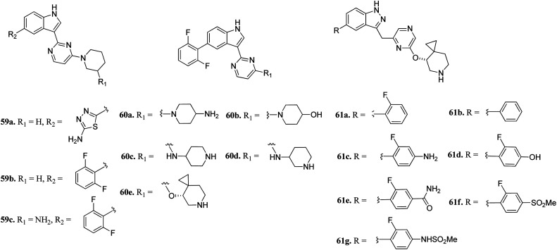 Fig. 25