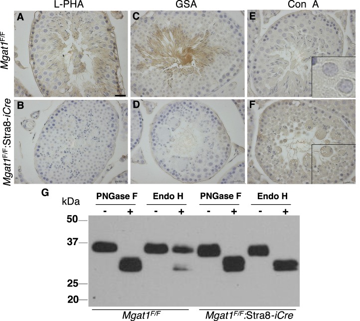 FIG. 8. 