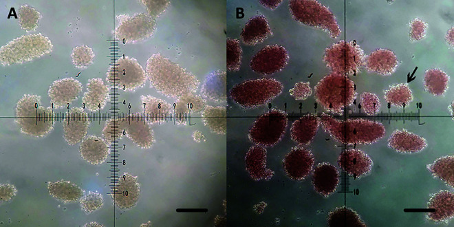 Fig. 1.