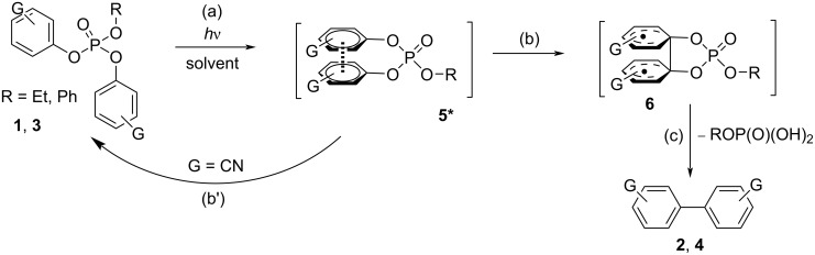 Scheme 3