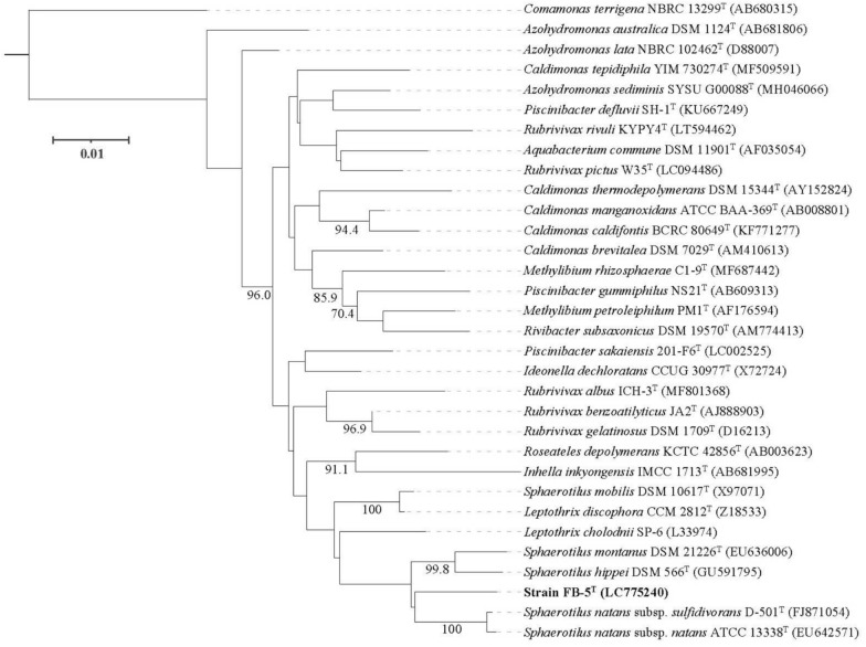 Fig. 3