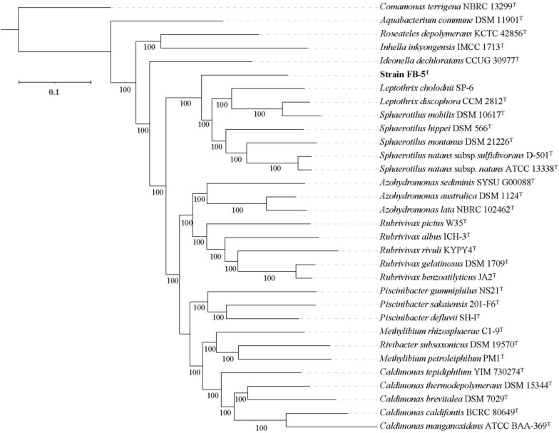 Fig. 4