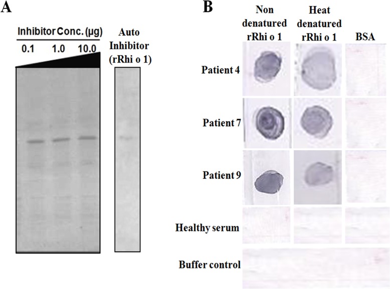 Fig 9