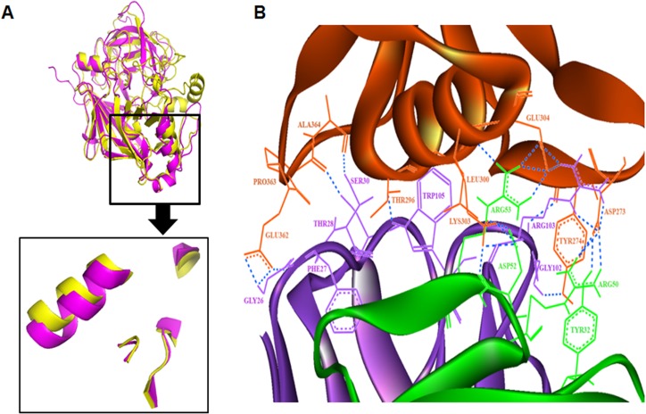 Fig 11