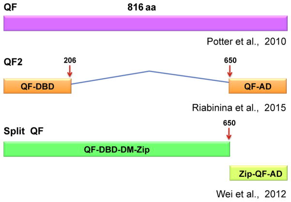 FIGURE 2