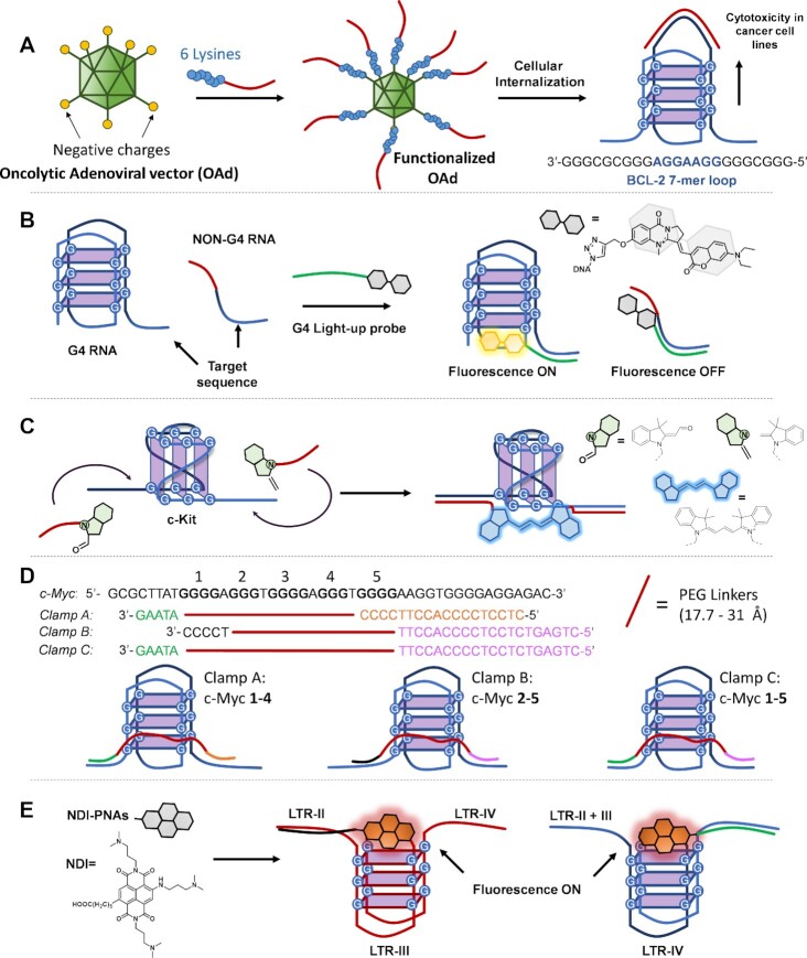 Figure 11.