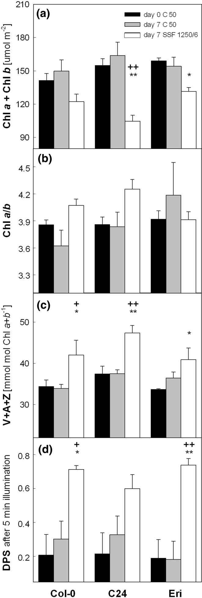 Fig. 8