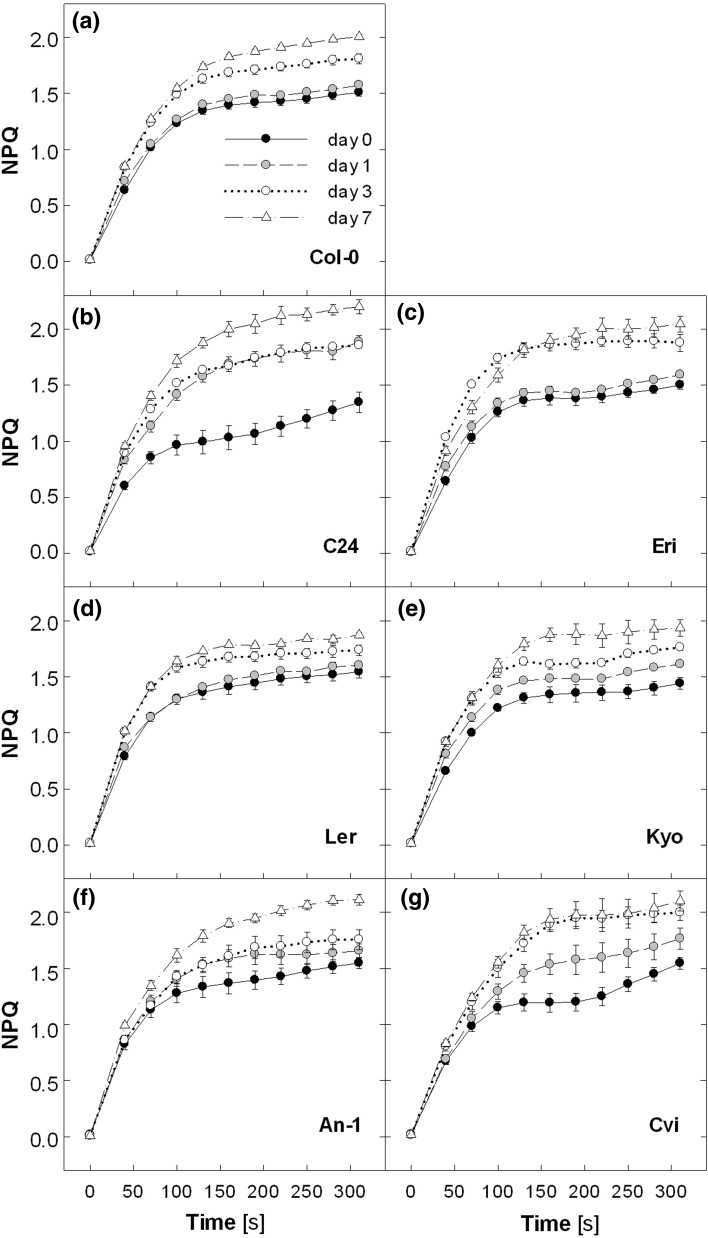 Fig. 6