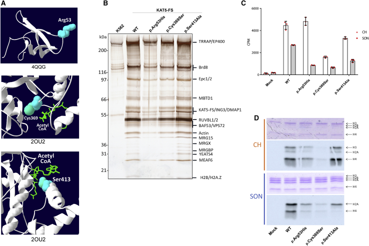 Figure 2