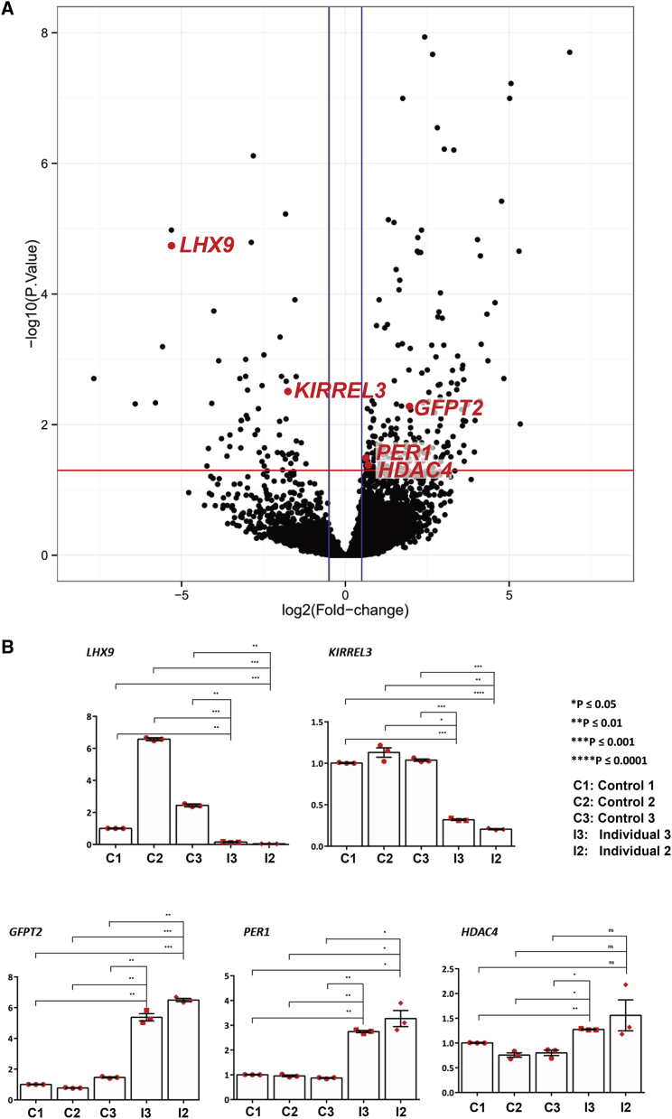 Figure 3