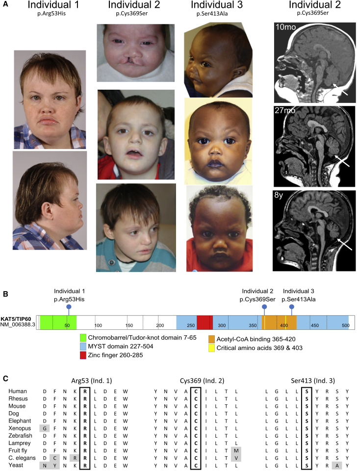 Figure 1