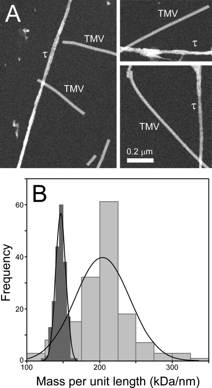 FIGURE 1.