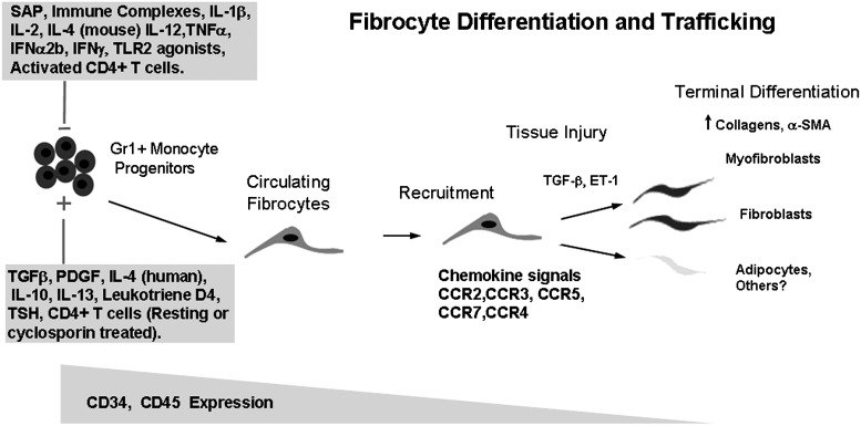 graphic file with name fig-2.jpg