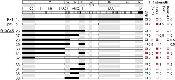 Figure 2.