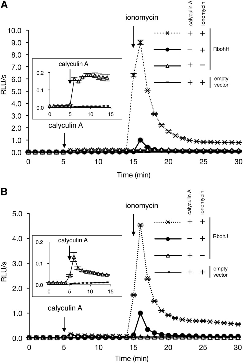 Figure 5.