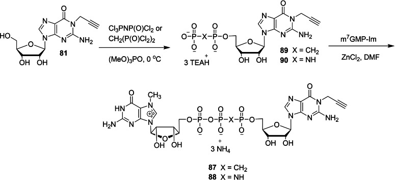 Scheme 12