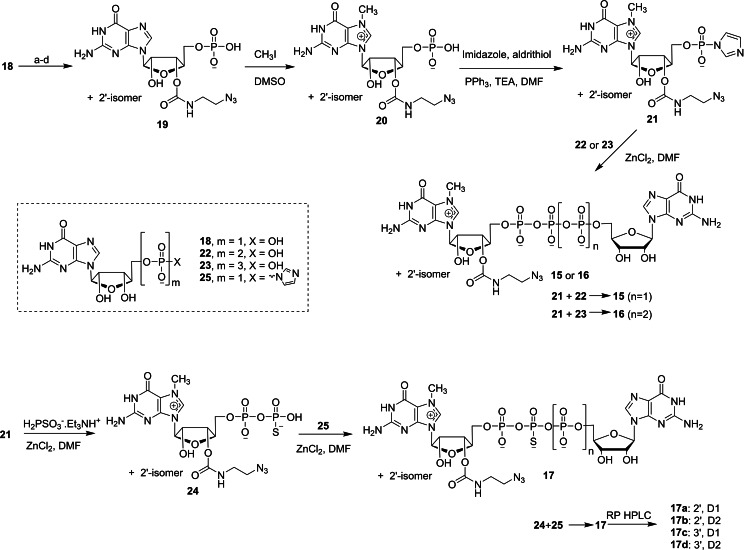 Scheme 4