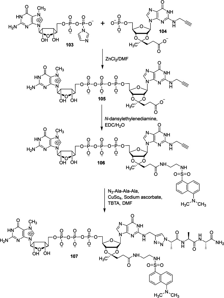 Scheme 14