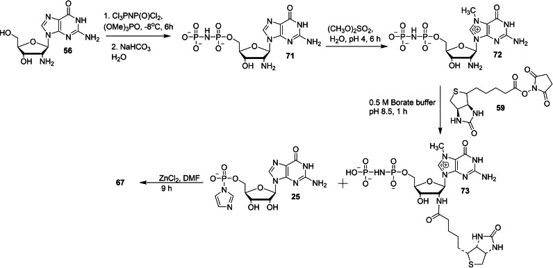 Scheme 8