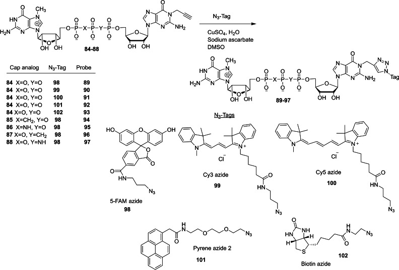 Scheme 13