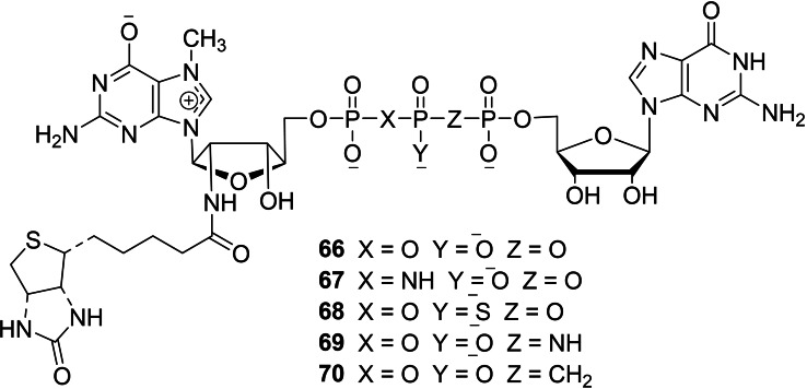 Scheme 7