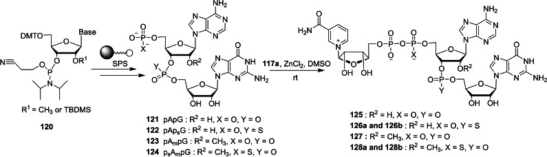 Scheme 19
