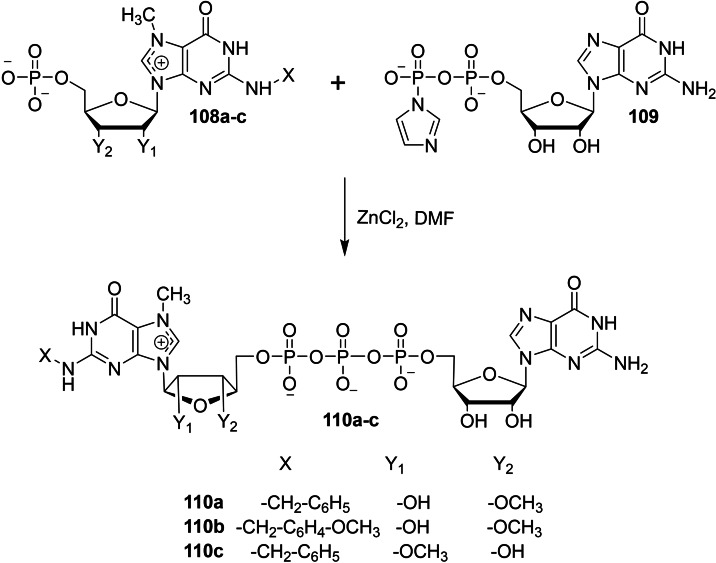 Scheme 15