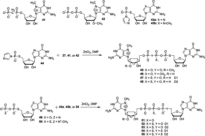 Scheme 6
