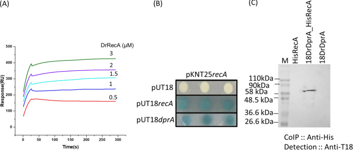 FIG 4