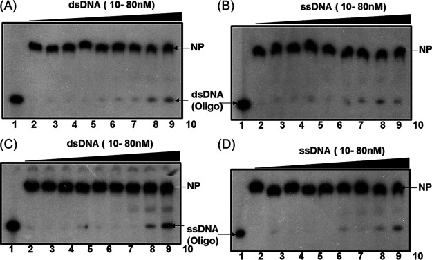 FIG 3