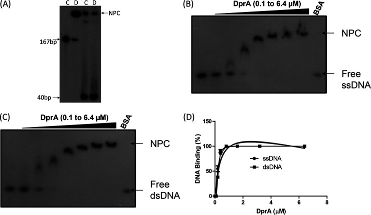 FIG 2