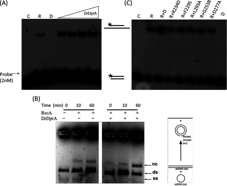 FIG 5